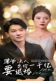 薄爷夫人出价一千亿要退婚封面图