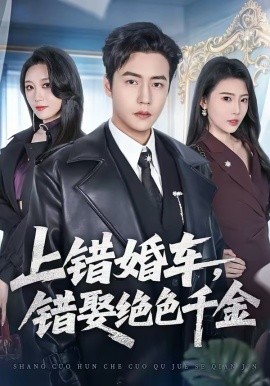 上错婚车错娶绝色千金