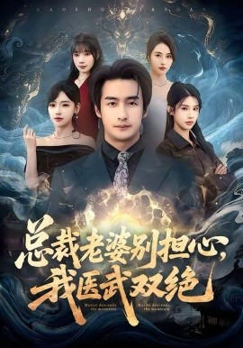 总裁老婆别担心我医武双绝