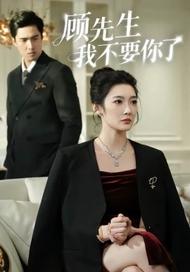 顾先生我不要你了封面图