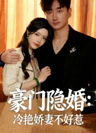 豪门隐婚冷艳娇妻不好惹