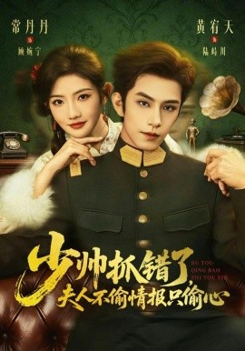 少帅抓错了夫人不偷情报只偷心