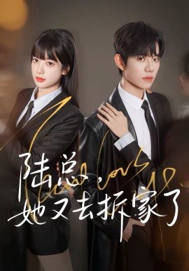 陆总她又去拆家了