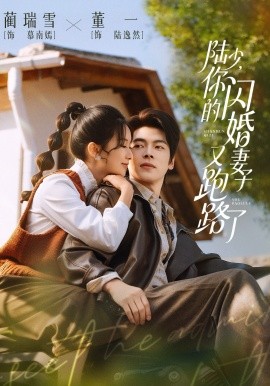 陆少你的闪婚妻子又跑路了