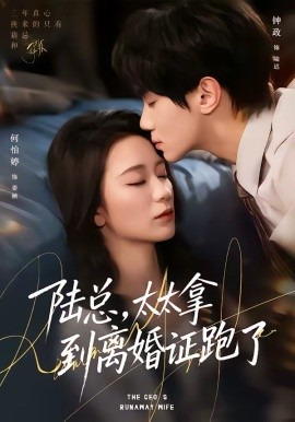 陆总太太拿到离婚证跑了