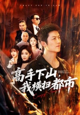 高手下山我横扫都市