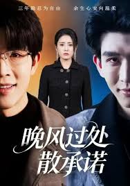 晚风过处散承诺