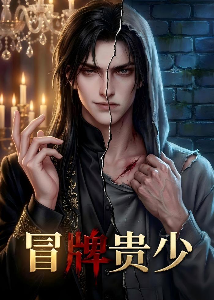 冒牌贵少封面图