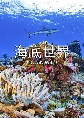 海底世界封面图