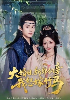 大婚日新郎纳妾我怒嫁竹马