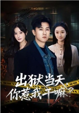 出狱当天，你惹我干嘛封面图