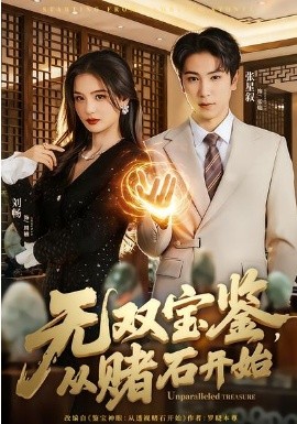 无双宝鉴从赌石开始