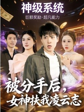 被分手后女神扶我凌云志