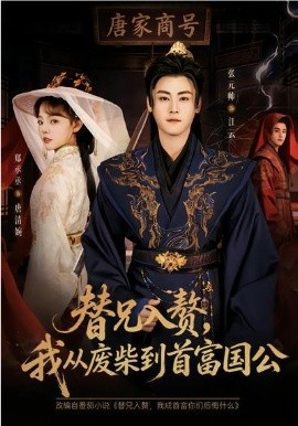 替兄入赘我从废柴到首富国公
