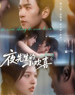 夜先生的小欢喜封面图