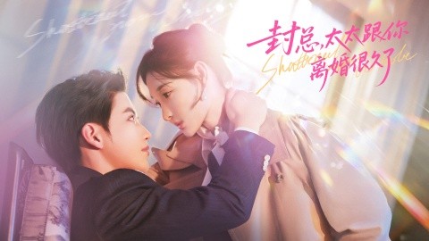 封总太太跟你离婚很久了