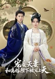 宠妾灭妻和离嫁陛下被宠上天