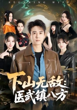 下山无敌医武镇八方