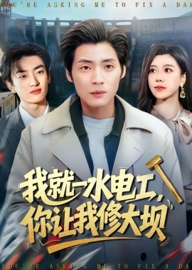 我就一水电工你让我修大坝