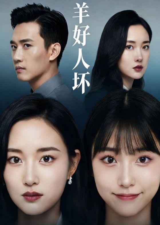 羊好人坏封面图