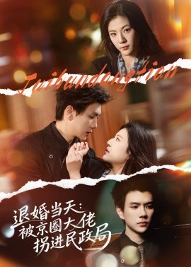 退婚当天被京圈大佬拐进民政局