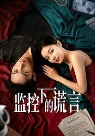监控下的谎言封面图