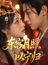 东宫月照以宁归封面图