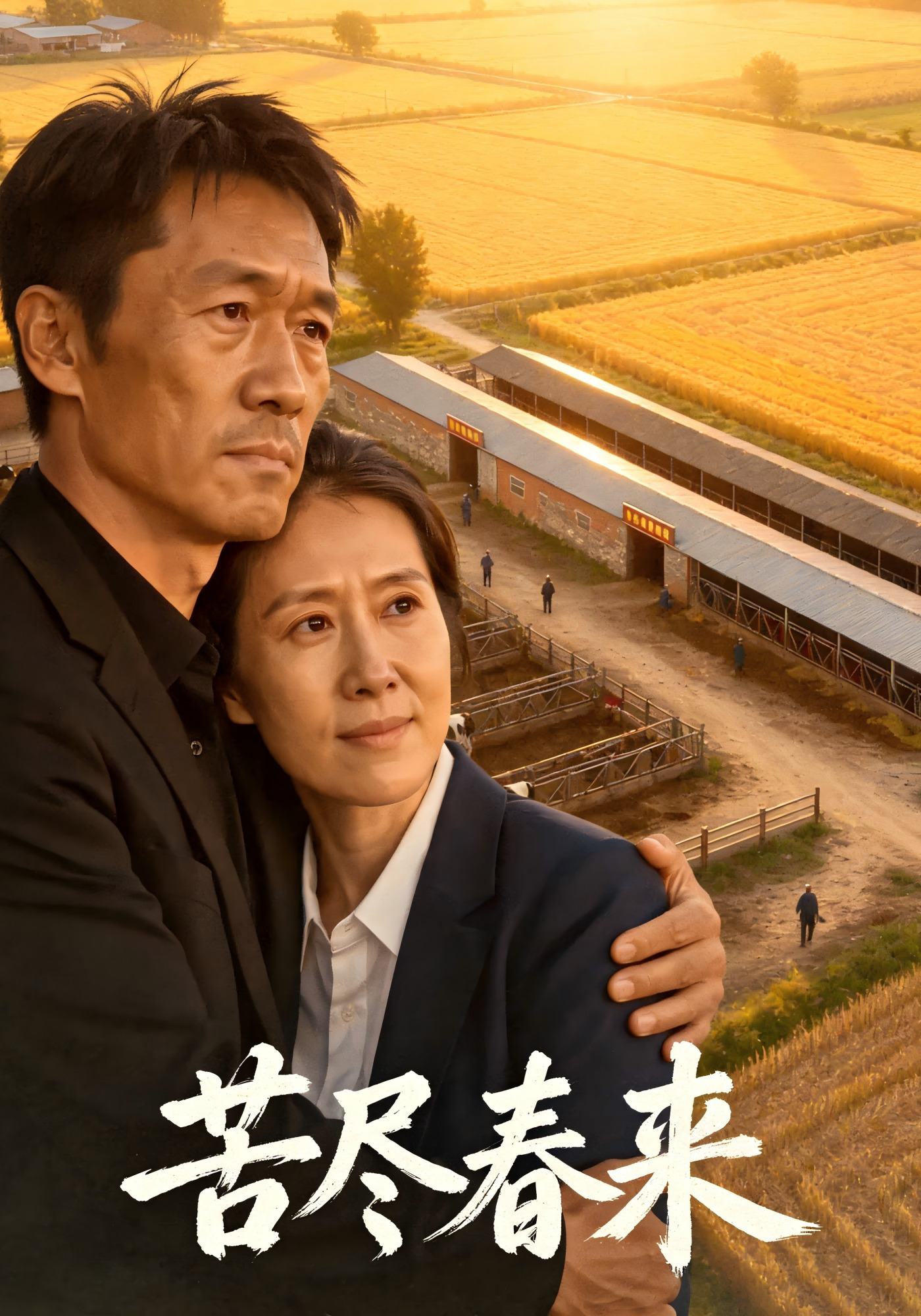 苦尽春来封面图