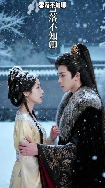 雪落不知卿封面图