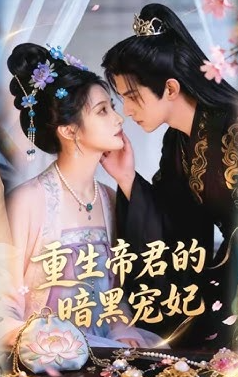 重生帝君的暗黑宠妃封面图