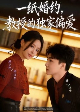 一纸婚约教授的独家偏爱