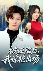 被诬陷后我惊艳出场