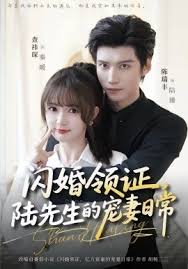 闪婚领证陆先生的宠妻日常