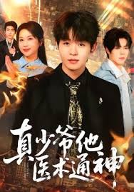 真少爷他医术通神