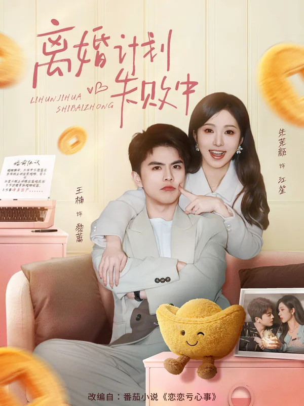 离婚计划失败中