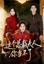这个总裁夫人你当不了