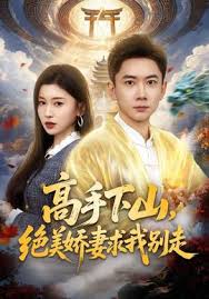 高手下山绝美娇妻求我别走