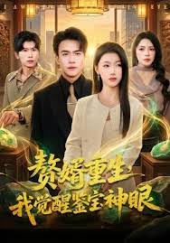 赘婿重生我觉醒鉴宝神眼