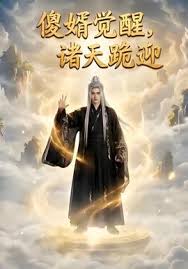 傻婿觉醒诸天跪迎