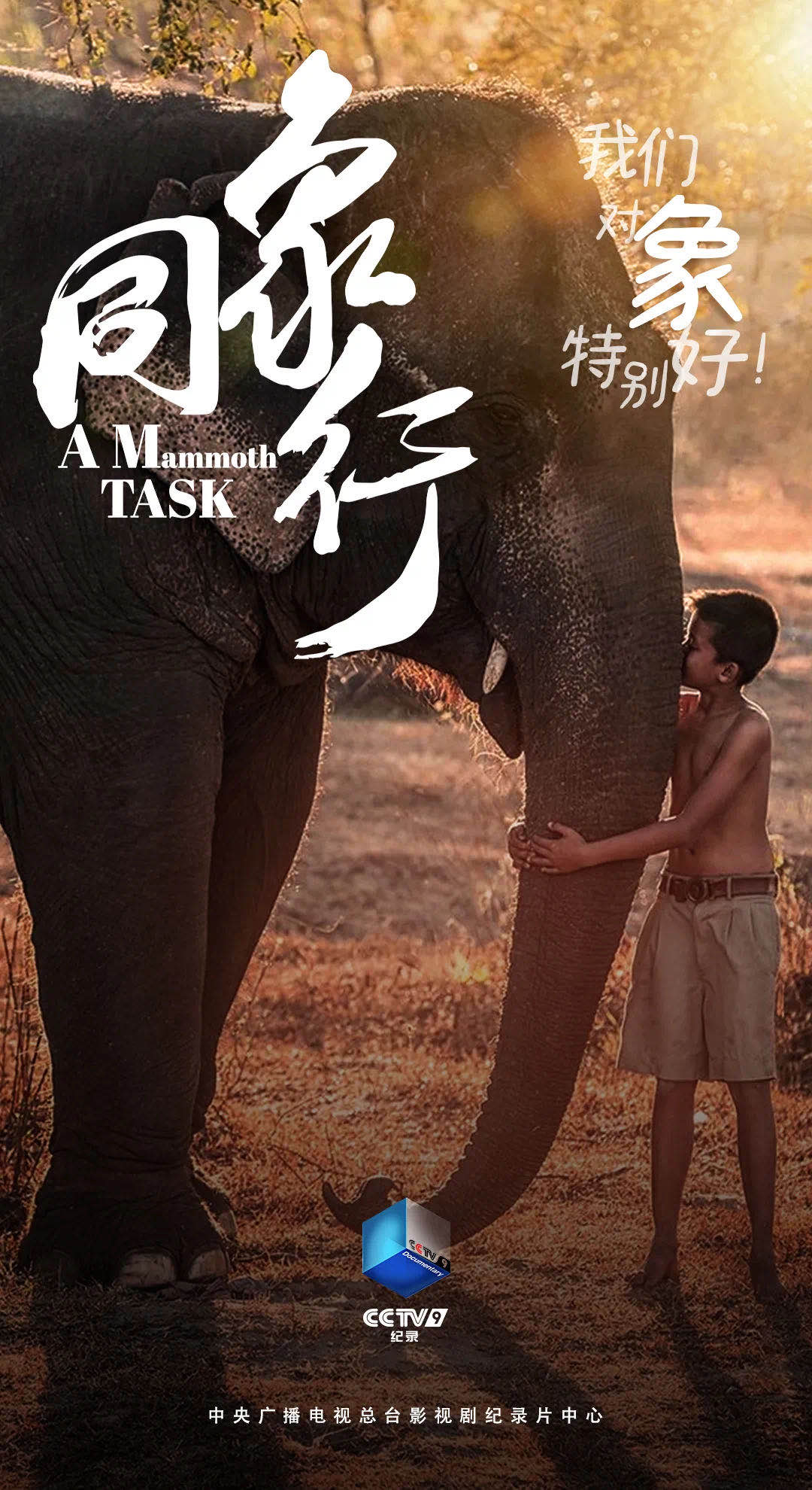 与象同行