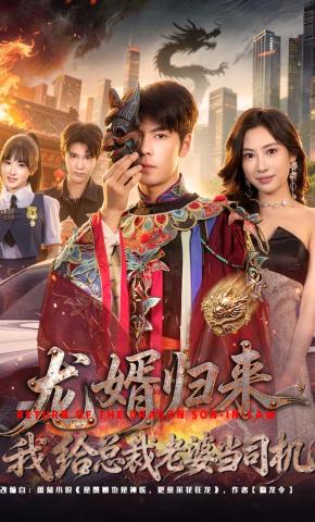 龙婿归来我给总裁老婆当司机