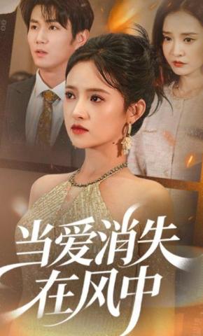 当爱消失在风中