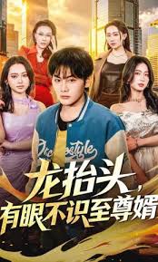 龙抬头有眼不识至尊婿