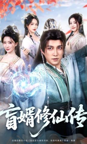 盲婿修仙传
