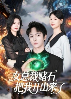 女总裁赌石把我开出来了