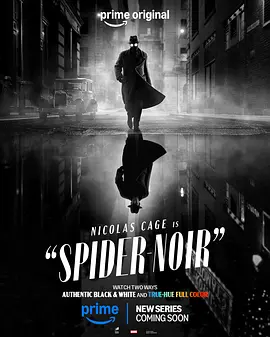 暗影蜘蛛侠 Spider-Noir封面图