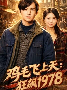 鸡毛飞上天狂飙一九七八