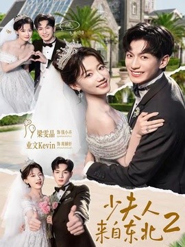 少夫人来自东北第二季