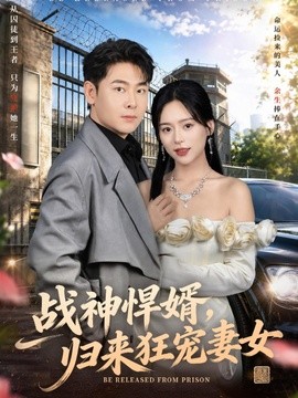 战神悍婿归来狂宠妻女