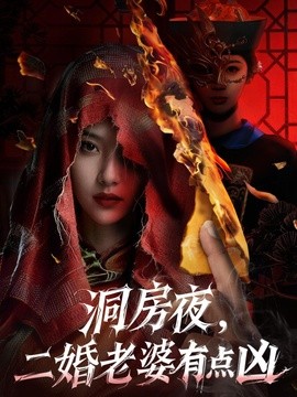 洞房夜二婚老婆有点凶